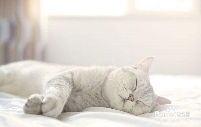 秋天如何做才能有更好睡眠?