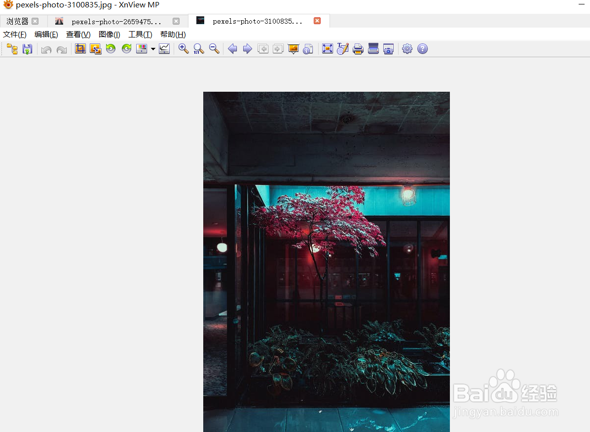 xnview如何启用选择新的文件功能