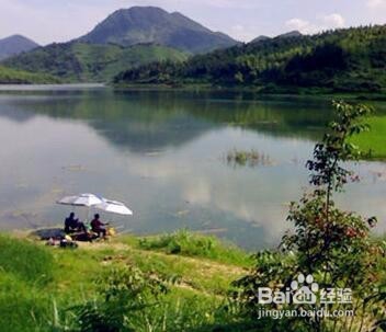 秋天钓鳊魚技巧