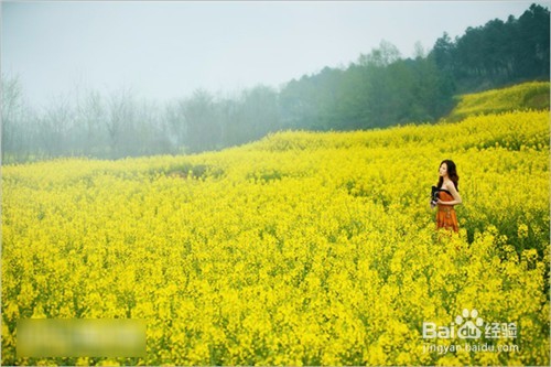 你应该这样拍照