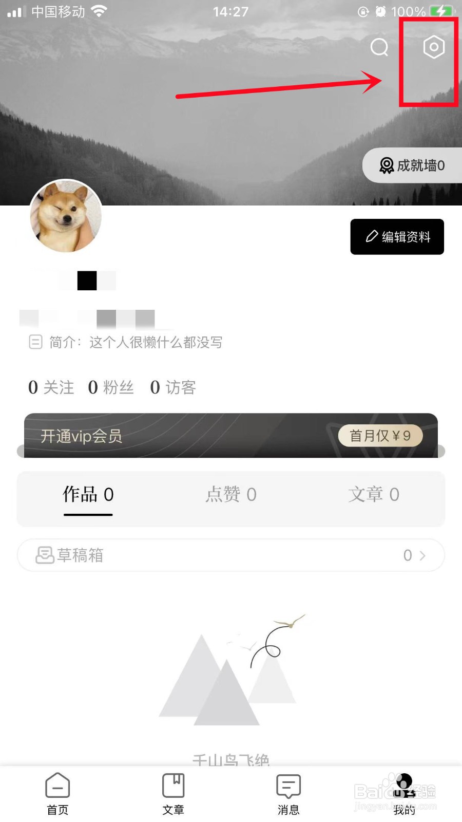 诗音怎么隐身访问他人主页