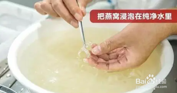 如何正确吃燕窝