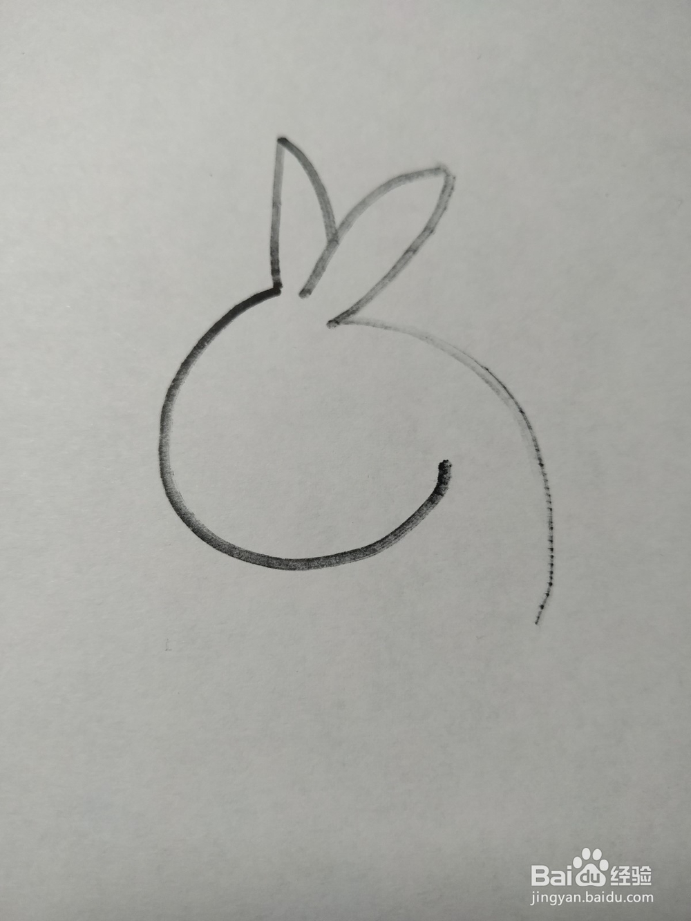 毛驴的简笔画技法6