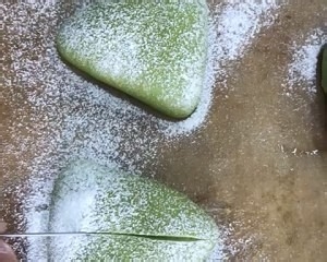 蜜豆奶酪馅抹茶软欧