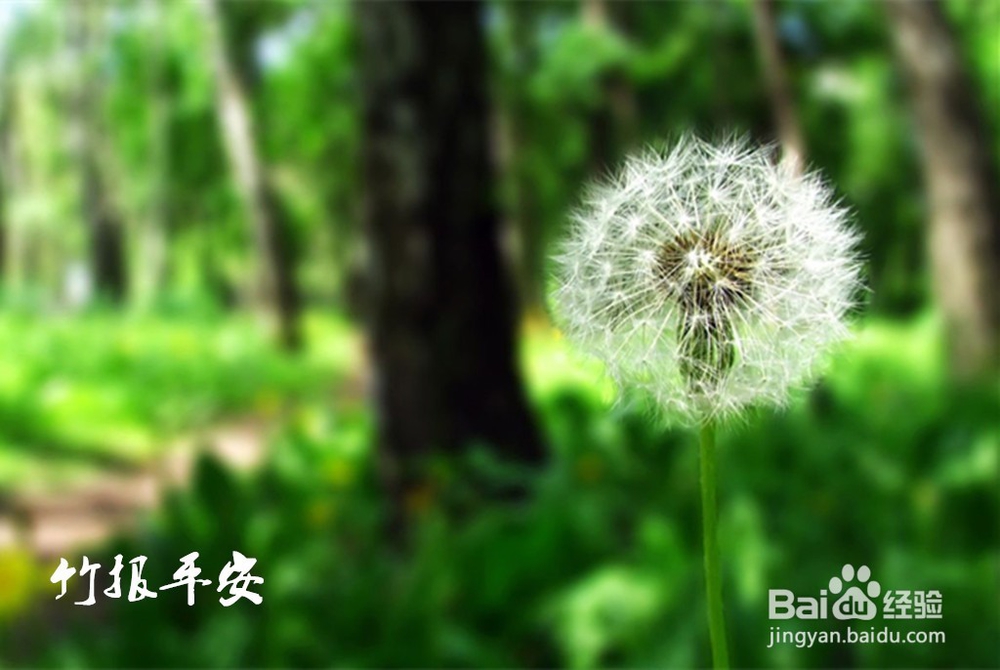 英语四级备考——2016年6月四级写作攻略A