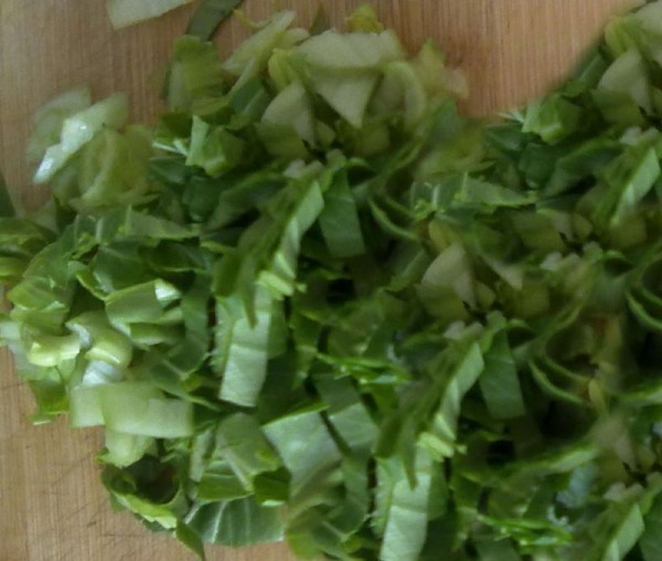 春绿湖畔闻松香