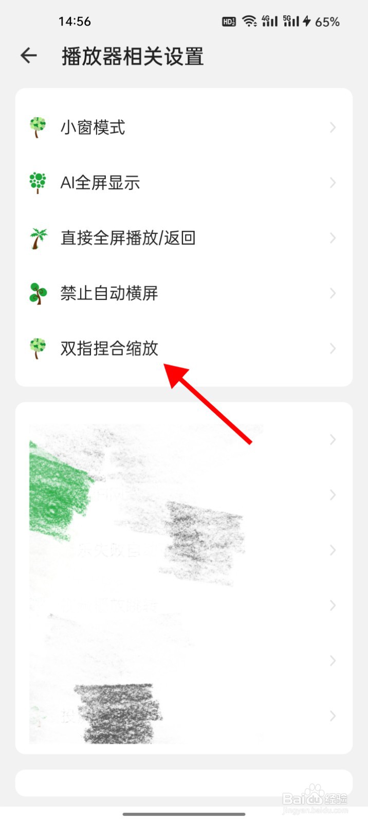 海阔视界怎么启用双指捏合缩放功能