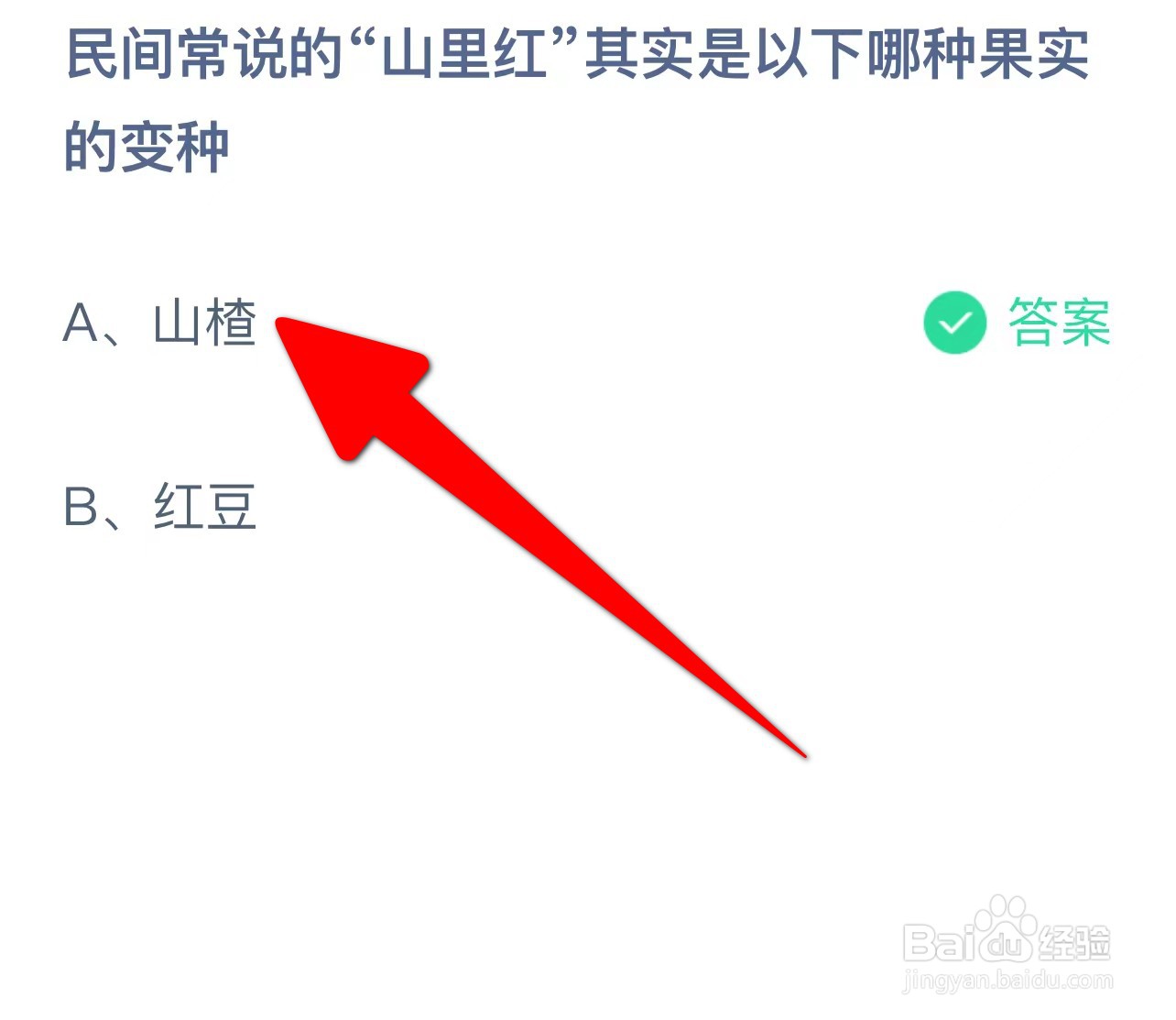 民间常说的山里红其实是哪种果实变种?蚂蚁庄园
