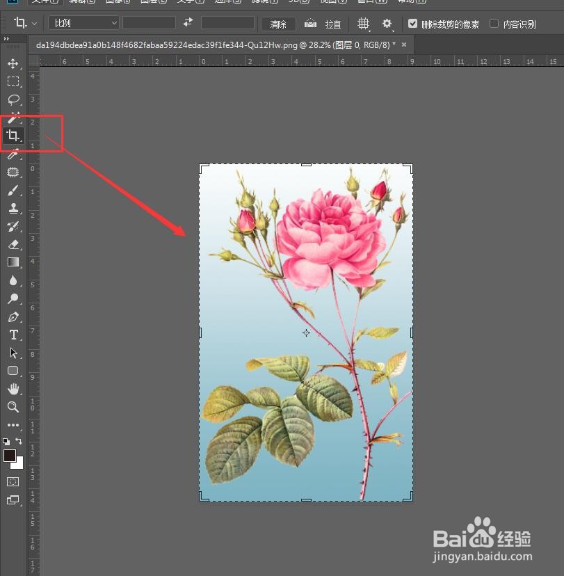 Photoshop如何用裁剪工具来扩展画布