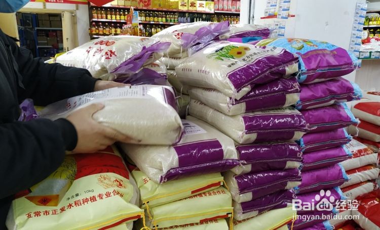 如何判断大米好坏