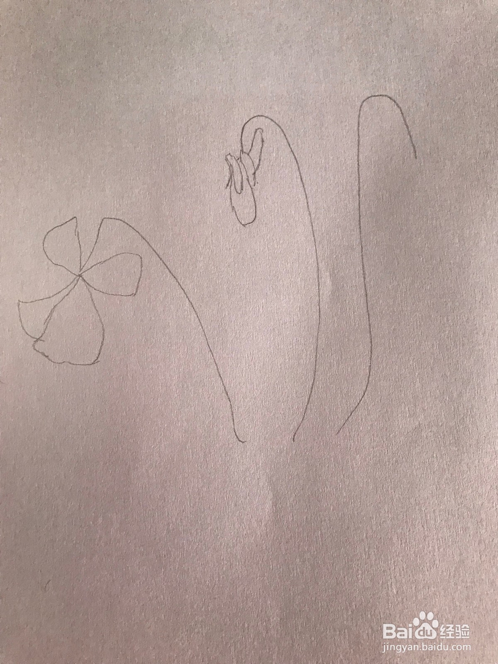 画一棵简易紫罗兰