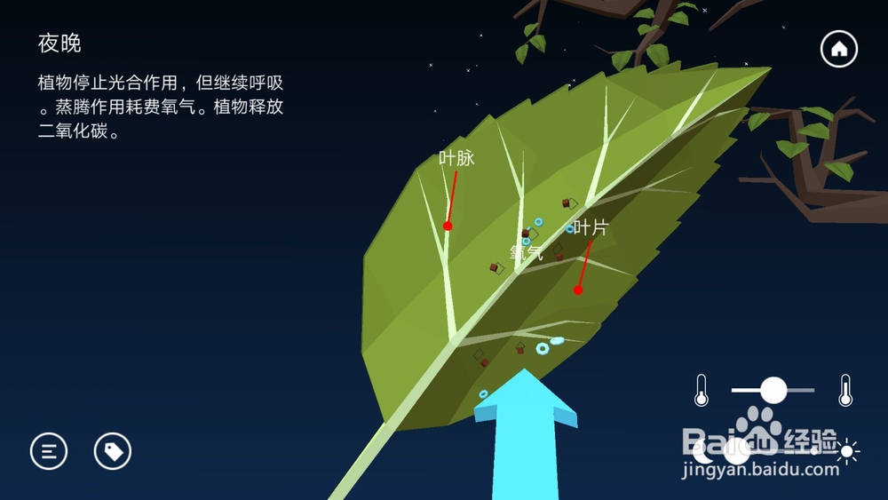 高中生物温度与光照对光合作用的影响知识点详解