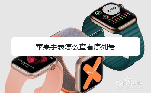 苹果手表怎么查看序列号