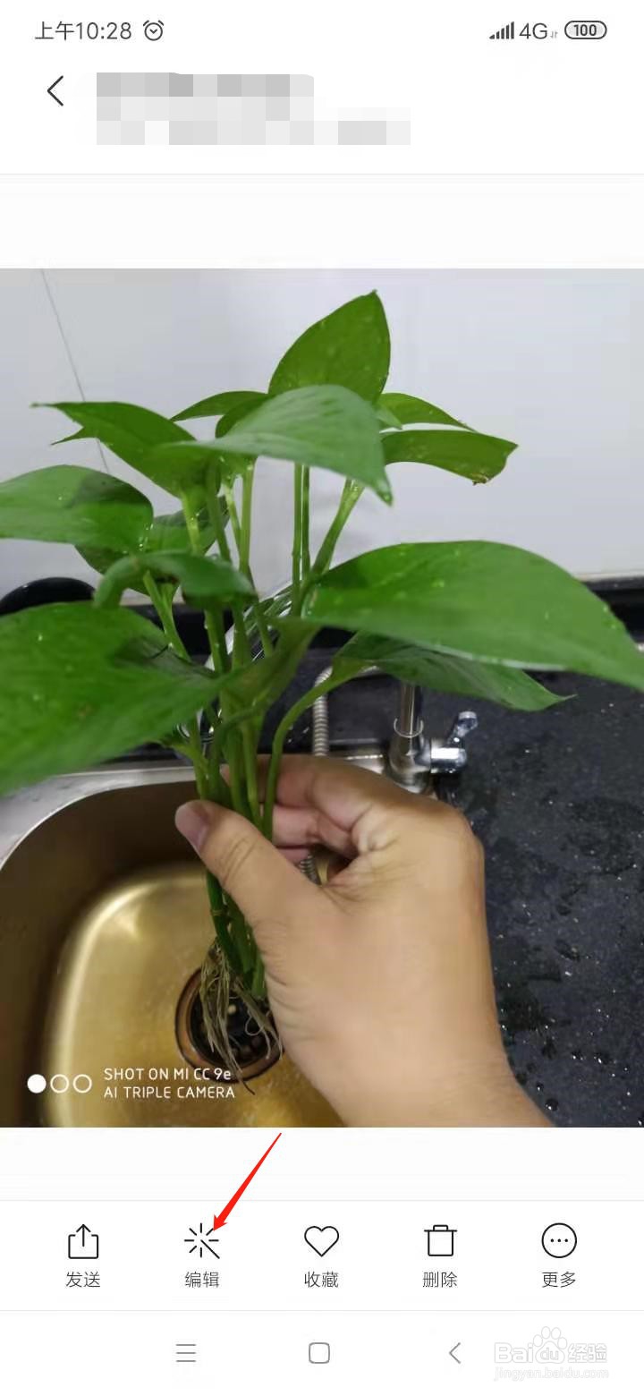 手机照片如何添加文字