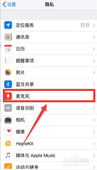 苹果手机游戏麦克风权限怎么打开