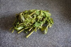 健康养生佳品香椿拌豆腐的做法