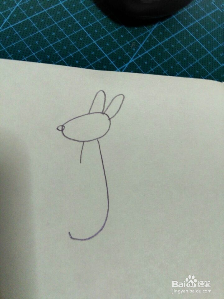 简笔画---袋鼠