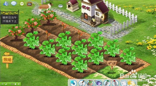 进入qq农场的方法