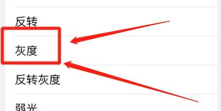 iPhone12手机缩放如何开启灰度滤镜