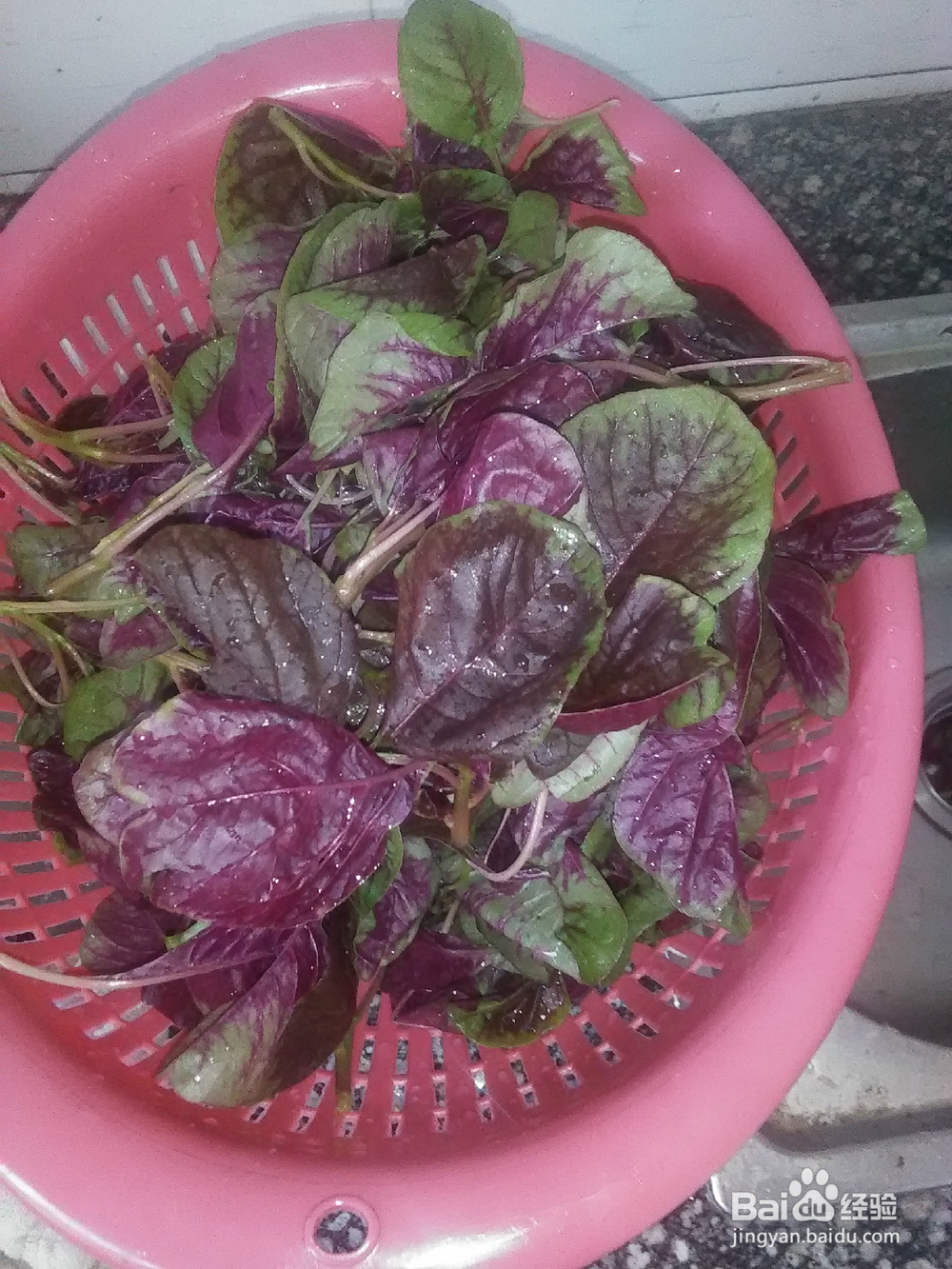 怎么做苋菜好吃?