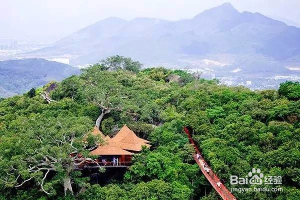 冬游攻略——海南旅游的正确打开方式
