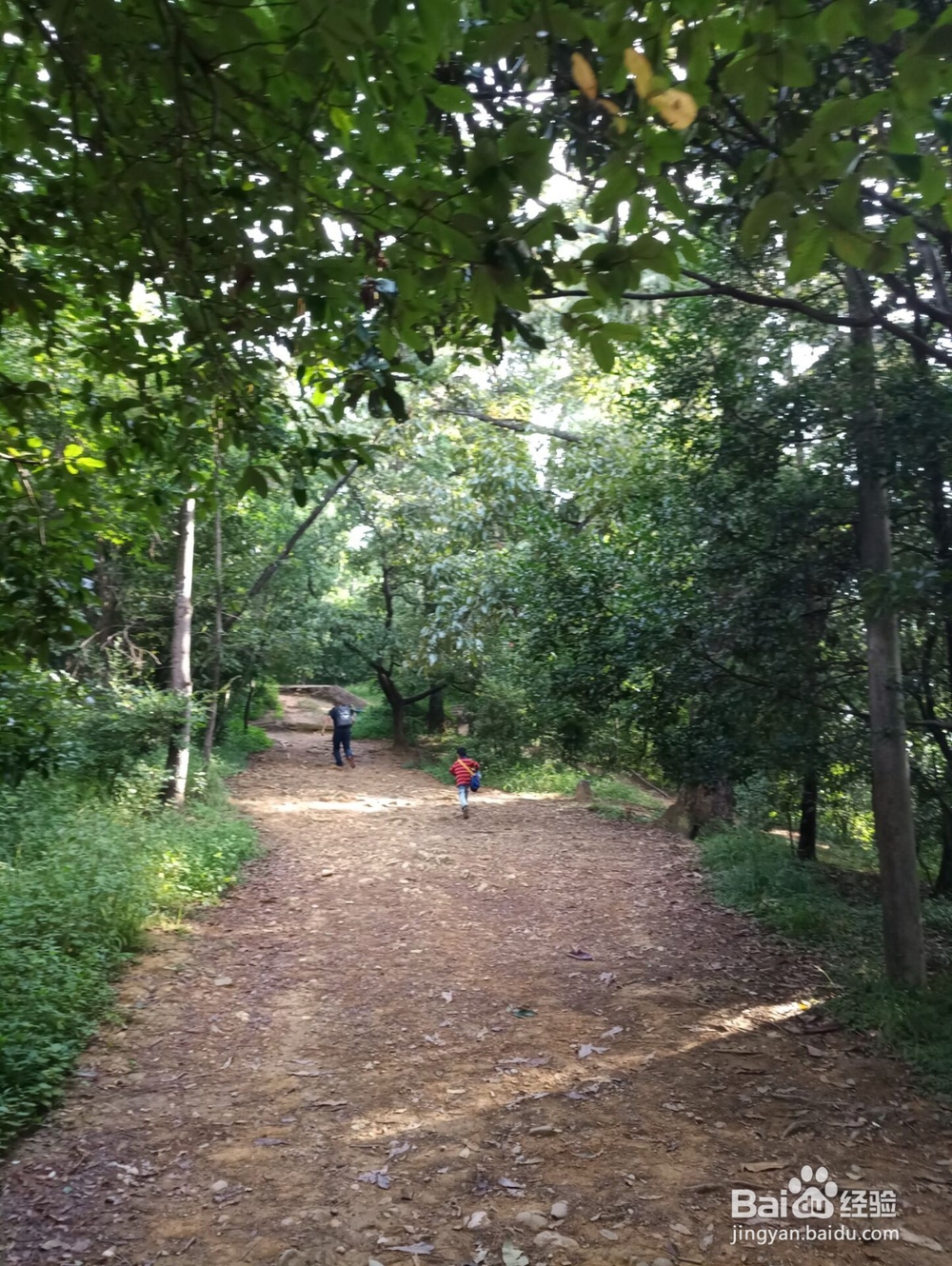 云南游之保山市太保山森林公园