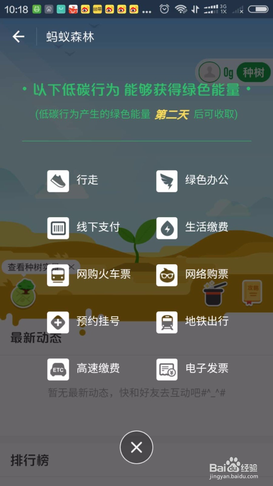 支付宝里面怎样种树