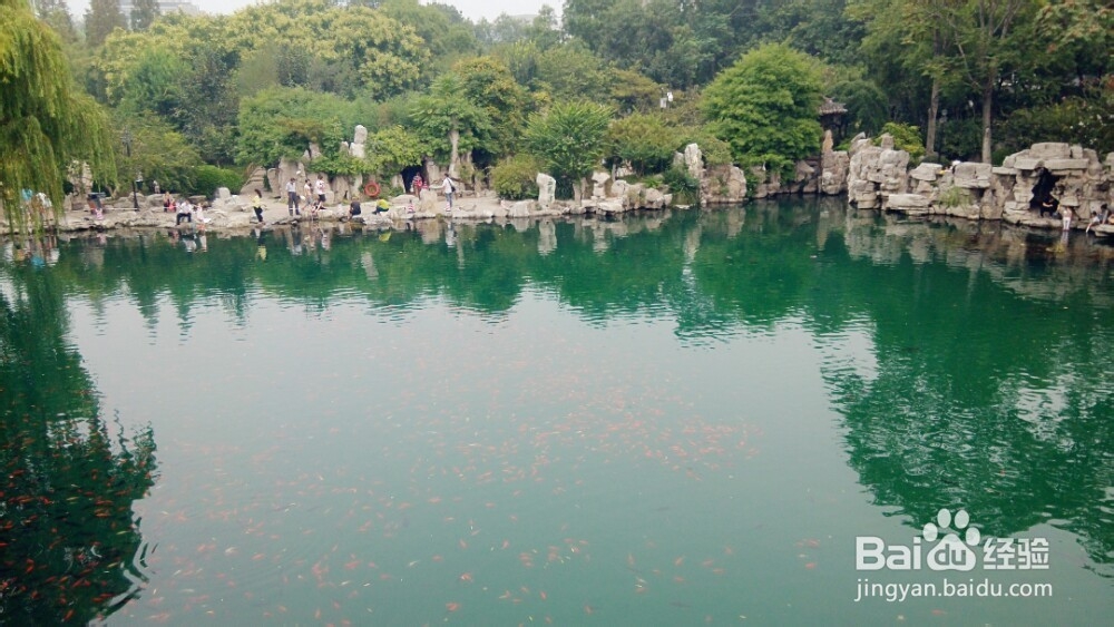 泉城一日游攻略