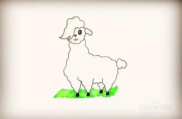 动物系列-羊驼简笔画怎么画？