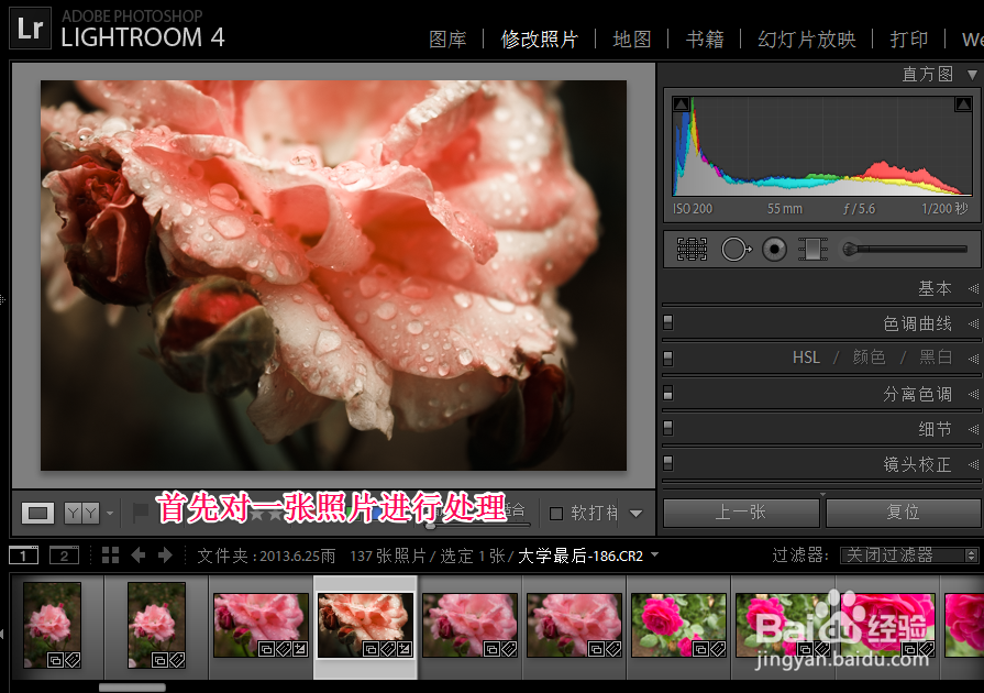 Lightroom如何批量处理