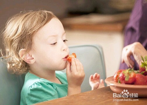 【小鱼宝贝之歌】夏令营活动方案