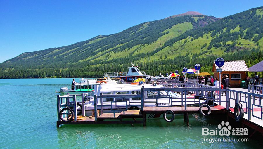 喀纳斯旅游攻略