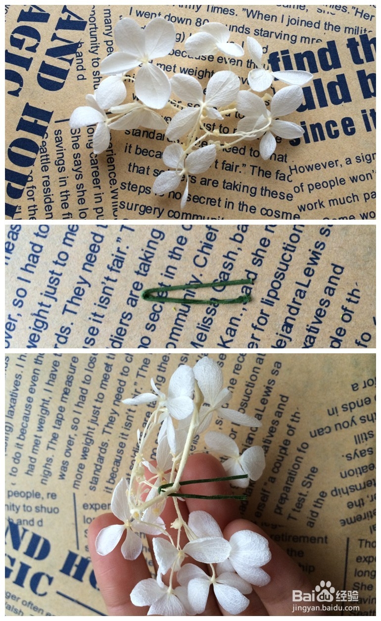 永生花盒DIY制作教程—绣球的固定方法