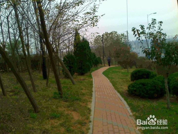 初中学生怎样搞好课外活动