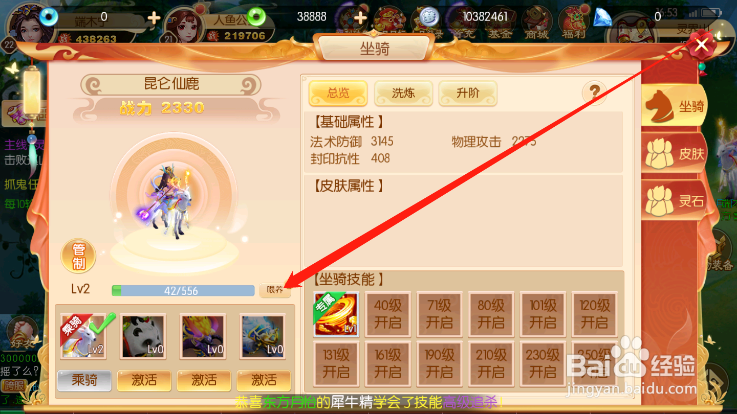 西游记:大话女儿国如何进行坐骑喂养