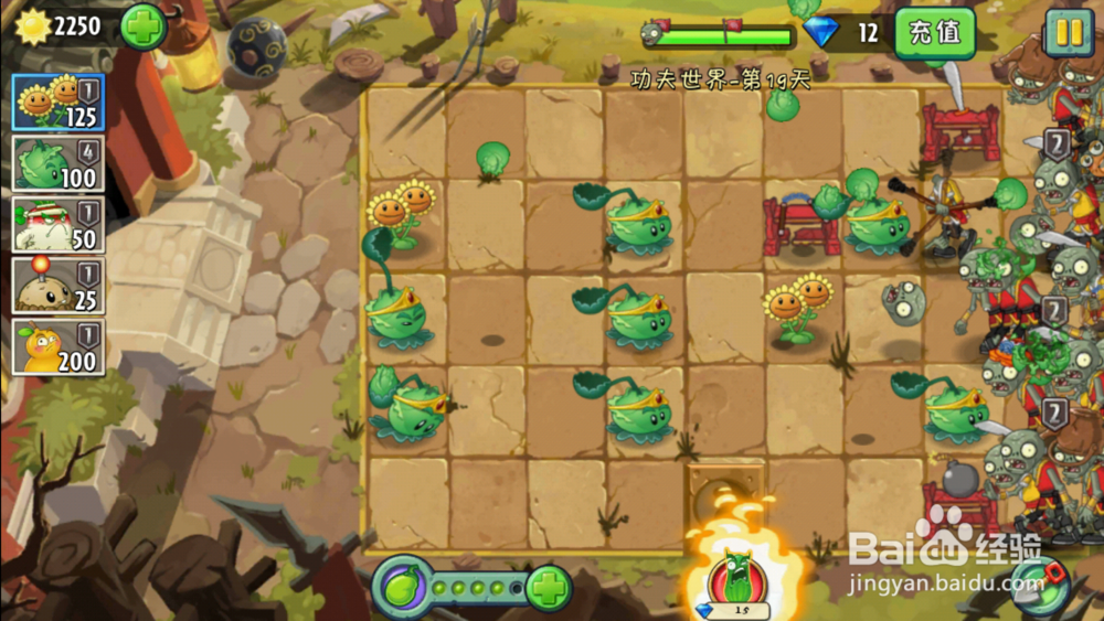 植物大战僵尸2功夫世界19天攻略