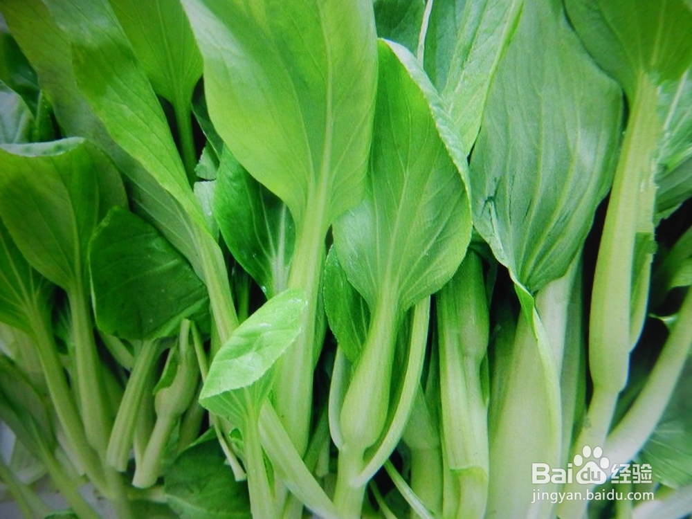 怎么知道什么是抗癌食物？
