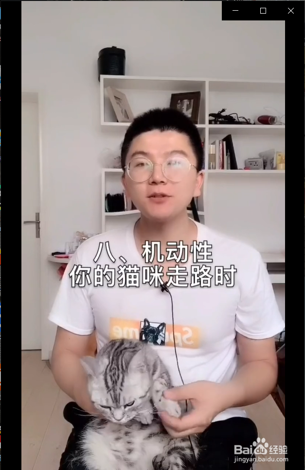 怎么在家给猫咪做体检