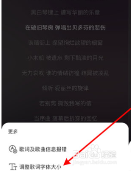 网易云怎么更改歌词大小