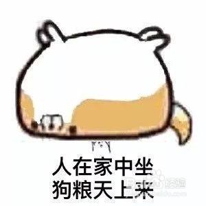 别人撒狗粮怎么幽默的评论