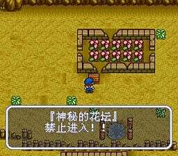 牧场物语矿石镇的伙伴们力之果实获得攻略