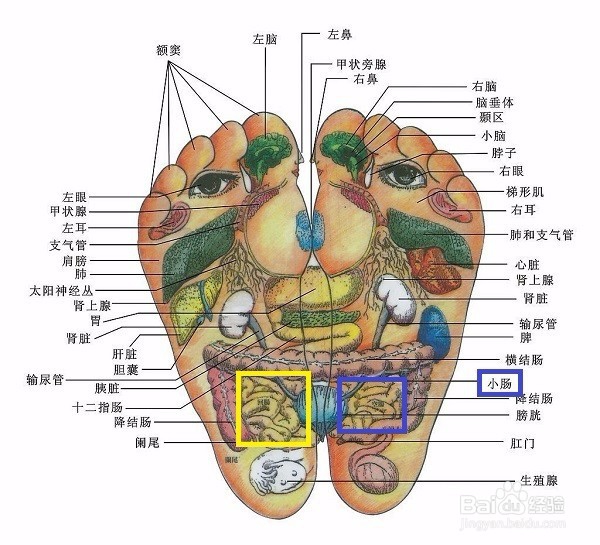 手术后的康复办法