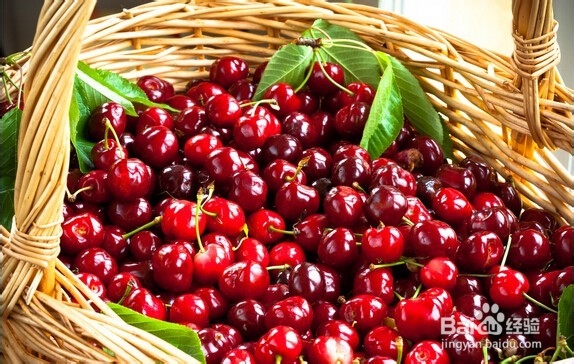 放化疗如何避免白细胞减少