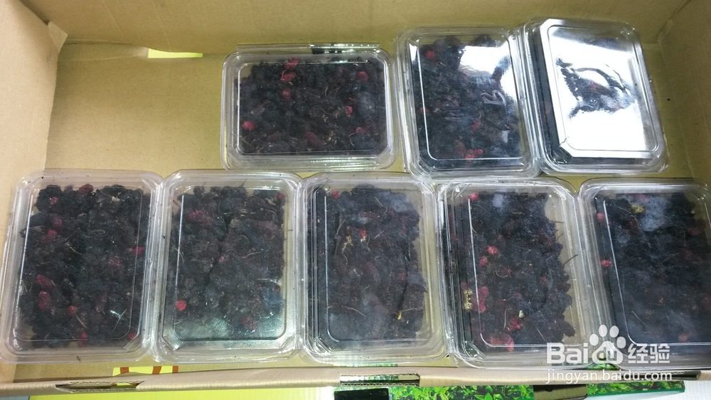 桑葚烘干机的作用,桑椹烘干机的使用