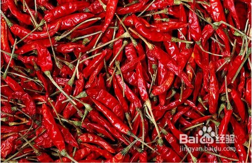 怎样知道怀孕的初期症状