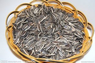 葵花籽的营养价值与保健功效