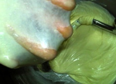 调理肉松面包的做法