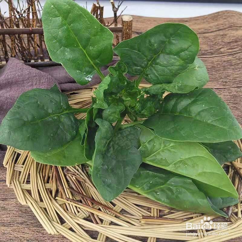 珍珠豆腐羹适合大众口味