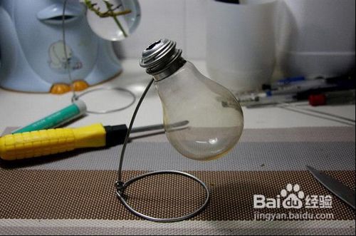 废品变惊喜—教你制作灯泡小花瓶
