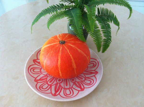 牛肉毛豆南瓜盅